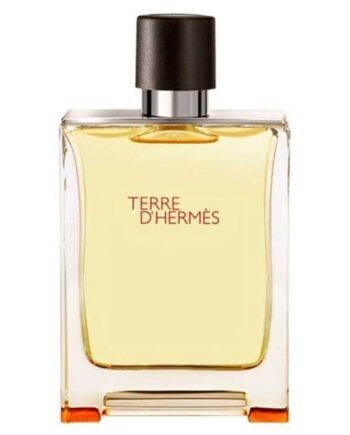 Herms Terre Ampaposhermes Edt 200 - Hermès Beautylife  - 3346130013457
